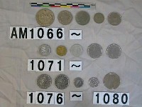 藏品(義大利100里拉硬幣)的圖片